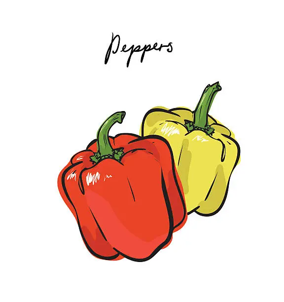 Vector illustration of Peppers