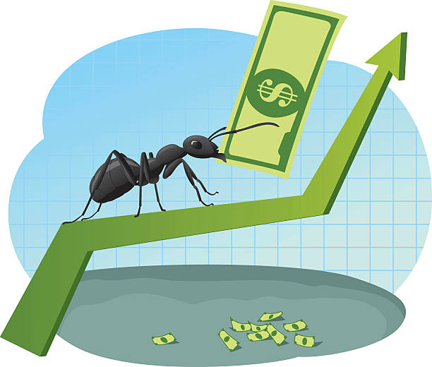 160+ Ant Financial Stock Illustrations, Royalty-Free Vector Graphics & Clip Art - iStock