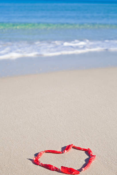 istock Heart made from red petals on the beach 535011823