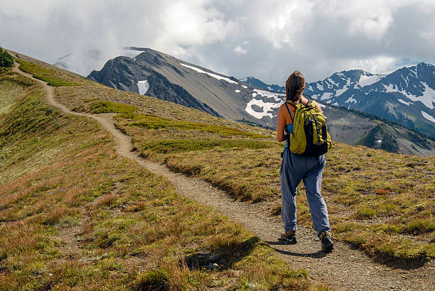 caminhadas furacão ridge - olympic national park - fotografias e filmes do acervo