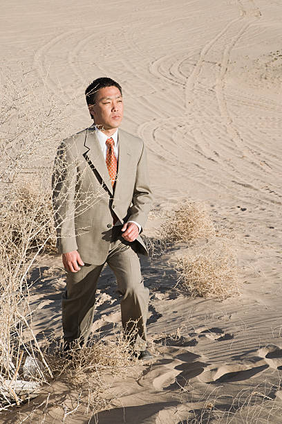 бизнесмен в пустыне - shadow focus on shadow people solitude стоковые фото и изображения