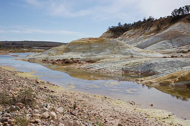 istock Willochra Creek in outback South Australia 535028083