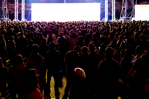 Large crowd of people at a rock concert
