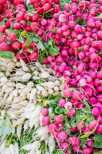 Radishes on display at the farmer's market