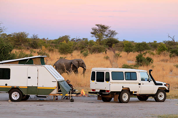istock Camping in Africa 535030193
