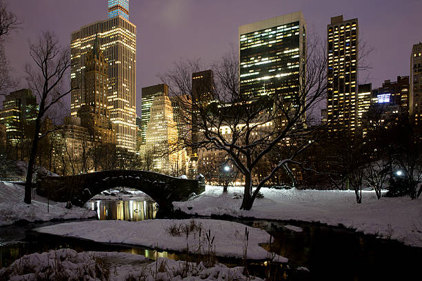 istock Central park in New York City 535040361