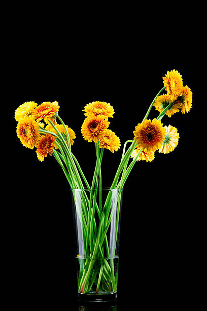 istock Bunch of gerber flowers 535042457