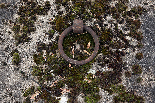 Moss covers the masonic symbol on a tombstone.