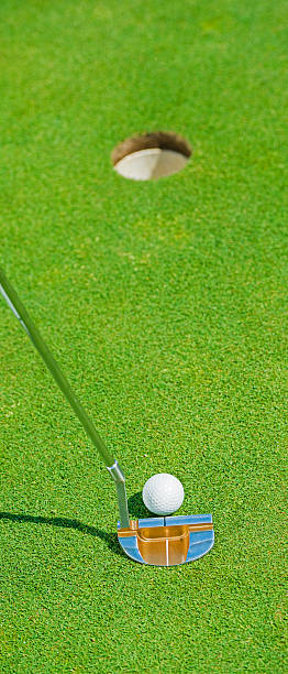 istock Close-up of Golfer Putting 535043939
