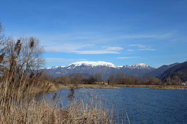 istock Peat bogs of lake Iseo 535048445
