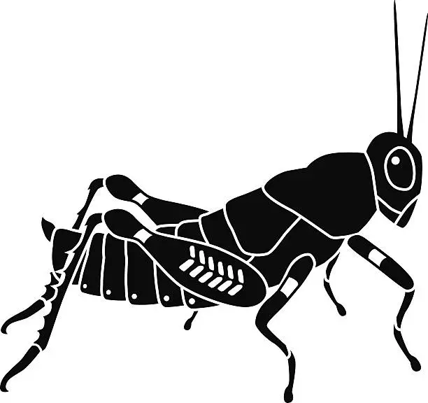 Vector illustration of vector grasshopper side view in black and white