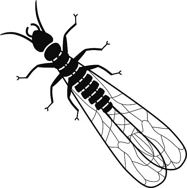 Vector illustration of vector termite in black and white