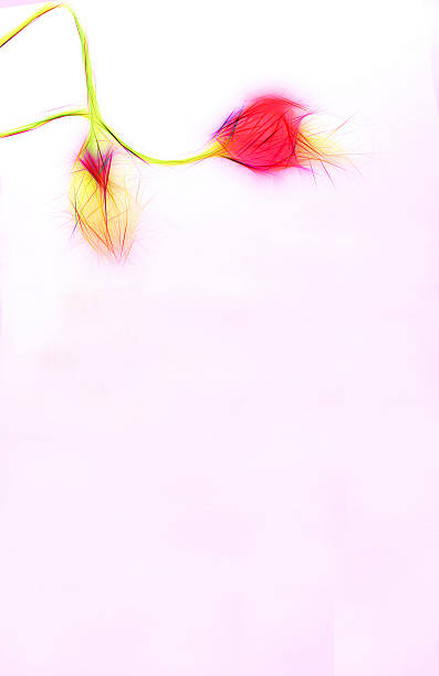 istock Stationery Poppy modern 535049059