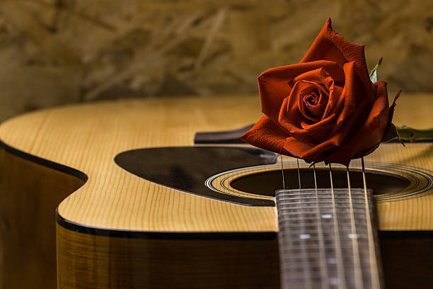 istock Still life rose and quitar 535049311