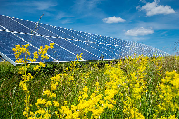 energia verde - voltaic imagens e fotografias de stock