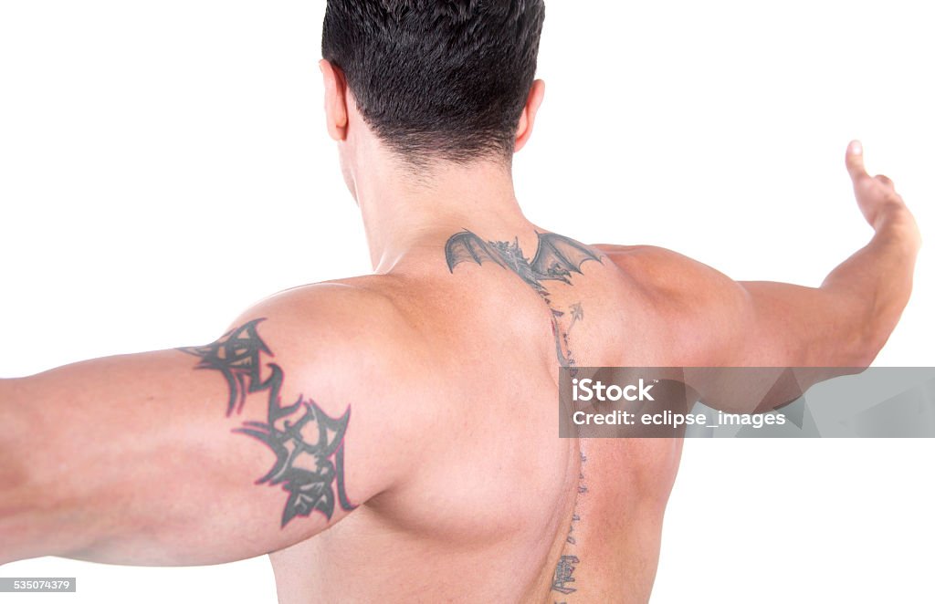 Muscular Back 2015 Stock Photo