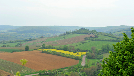 Countryside in north of Burgundy cloase to Vezelay