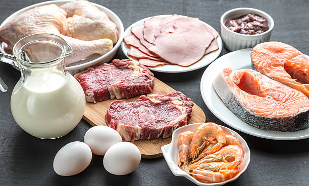 istock Protein diet: raw products on the wooden background 535075059
