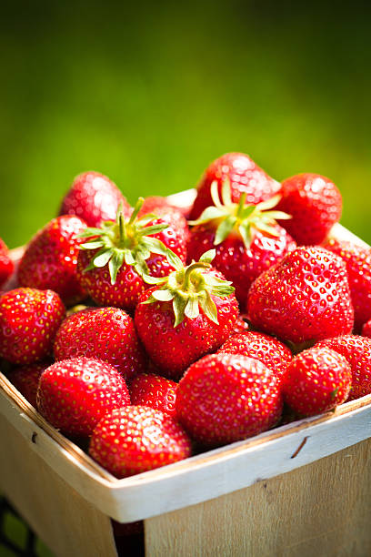 istock Fresh Strawberries in Crate Box Close Up 535075759