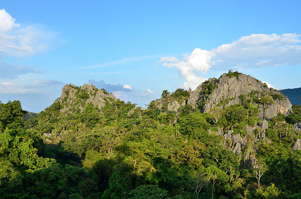 istock Shadow stone mountain of forest 535077973