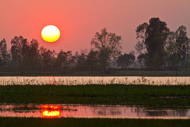 istock Sunset in terai swamp in Nepal 535078293