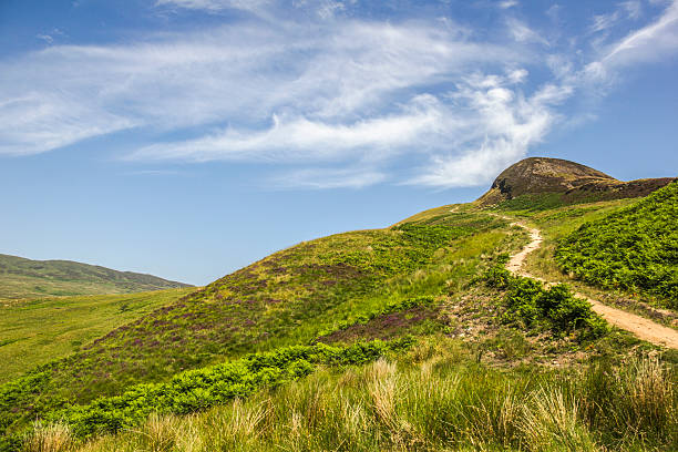 conic ヒルコース - highlands region heather grass mountain range ストックフォトと画像