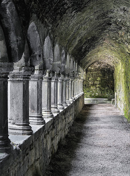 sligo abbey, sligo, republik irland - sligo stock-fotos und bilder