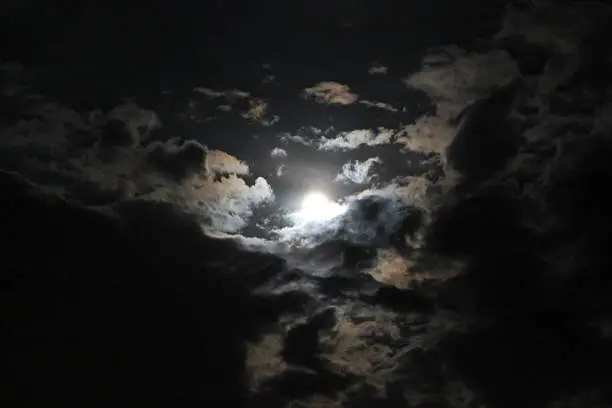 Photo of Moonlight