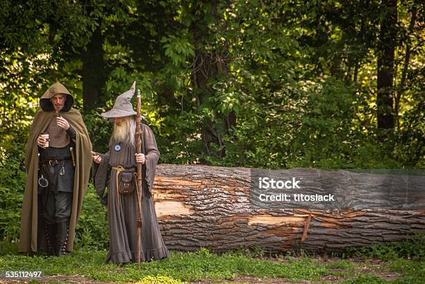 Stock fotografie Kouzelníci – stáhnout obrázek nyní - Kouzelník - Fiktivní postavou, Šedá, Les - Oblast zarostlá stromy