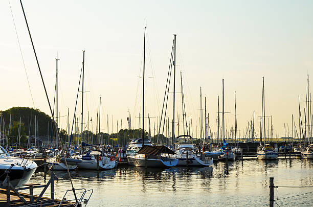 roskilde harbour im sommer abend - editorial sea white ship stock-fotos und bilder