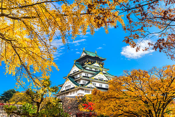 Osaka Castle in Osaka, Japan. Osaka, Japan - November 28, 2014: Osaka Castle is one of the most famous castles in Japan and played a major role in the unification of Japan during the 16th Century. osaka castle stock pictures, royalty-free photos & images