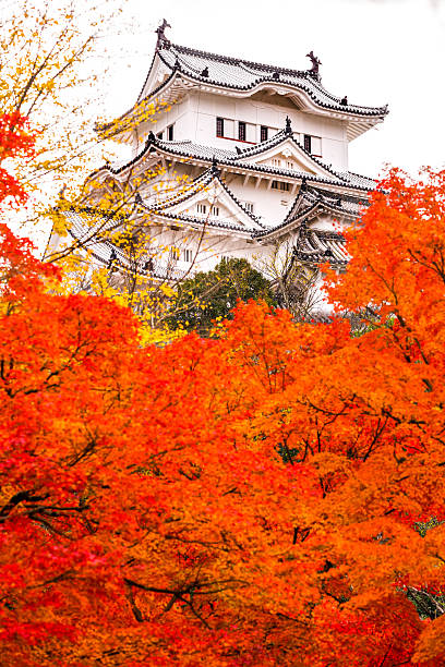 castelo de himeji, japão. - japanese culture landscape landscaped ornamental garden imagens e fotografias de stock