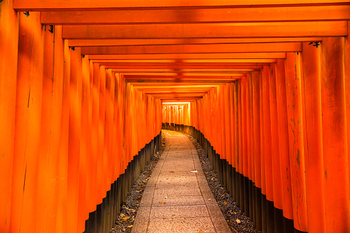 Kyoto, Japan - December 02, 2014: Orange wooden traditional Japanese gate (torii) in Fushimi Inari Shrine Kyoto. It's part of Shinto religion.