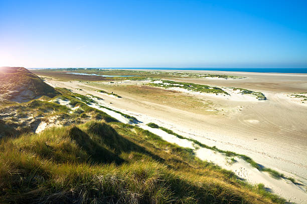 istock Dune Landscape - Amrum in Germany 535117473