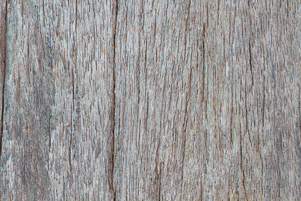 istock Wood texture of macro 535163997