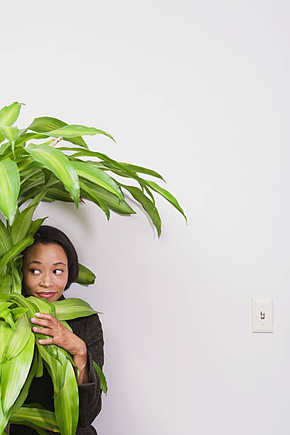 いるビジネスウーマンのオフィスの植物 - hiding humor occupation office ストックフォトと画像
