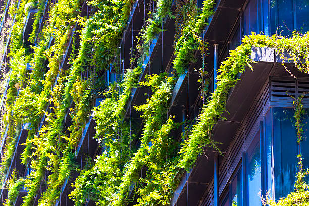 istock Closeup low angle view of Vertical garden, BioWall on skyscraper 535164913
