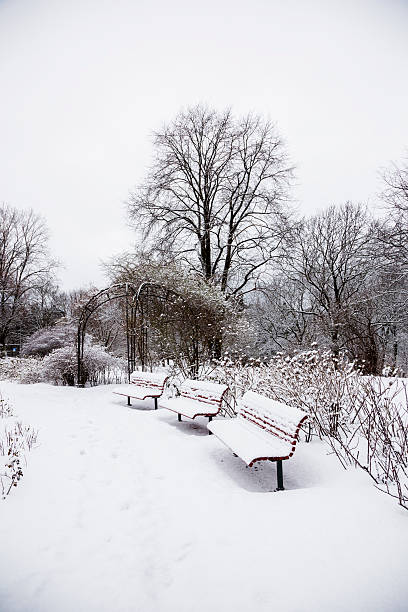 istock Park with red benches in winter. 535165215