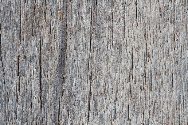istock Wood texture of macro 535165307
