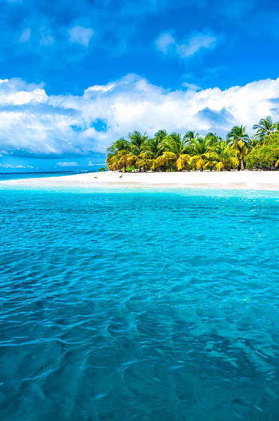 istock Lonely tropical island in the Caribbean 535165327