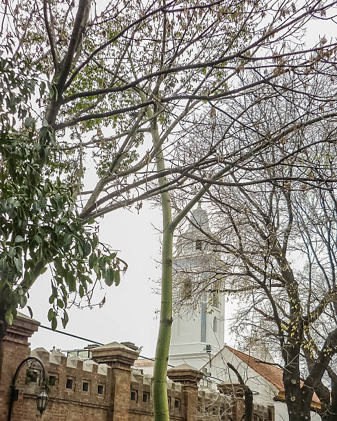istock Buenos Aires Recoleta Cemetery Exterior View 535165891