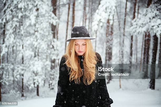 Walking In The Snowy Forest Stock Photo - Download Image Now - One Woman Only, Snowing, 2015