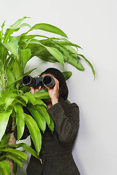 istock Businesswoman hiding behind plant with binoculars 535166959