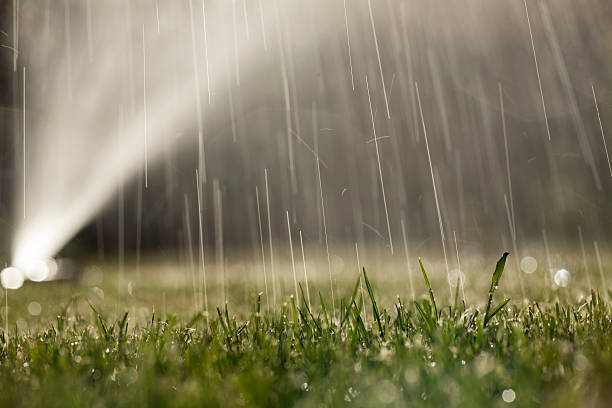 mokre trawnik z pompką w tle - sprinkler park summer spray zdjęcia i obrazy z banku zdjęć