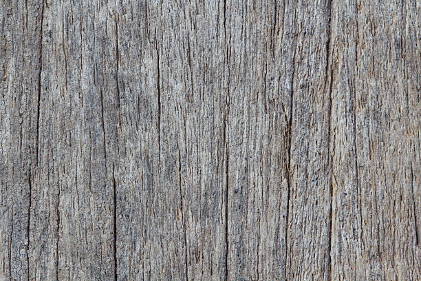 istock Wood texture of macro 535168167