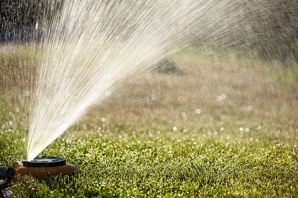 istock Wet lawn with sprayer in the background 535168539