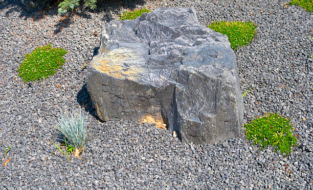 Gravel Rockery with small plants
