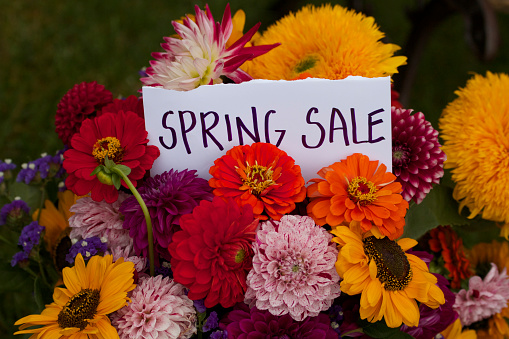 Spring,sale sign,colourful flowers