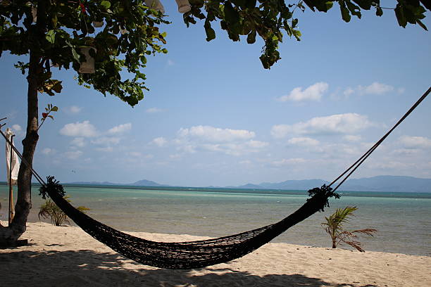 istock Heavenly hammock on the beach 535170757