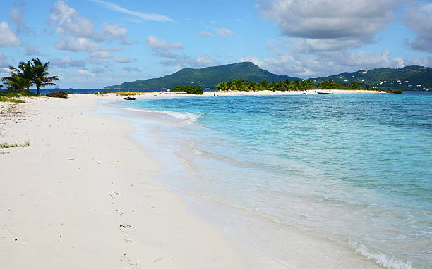 Grande Anse Beach, Grenada Grande Anse Beach, Grenada, one of the most beautiful beaches in the Caribbean grenada stock pictures, royalty-free photos & images